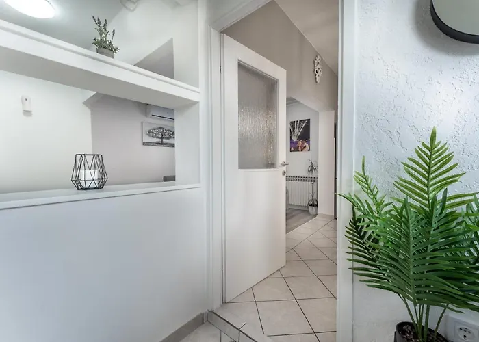 Lana Vidikovac Daire *