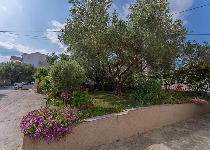 Lana Vidikovac Daire *